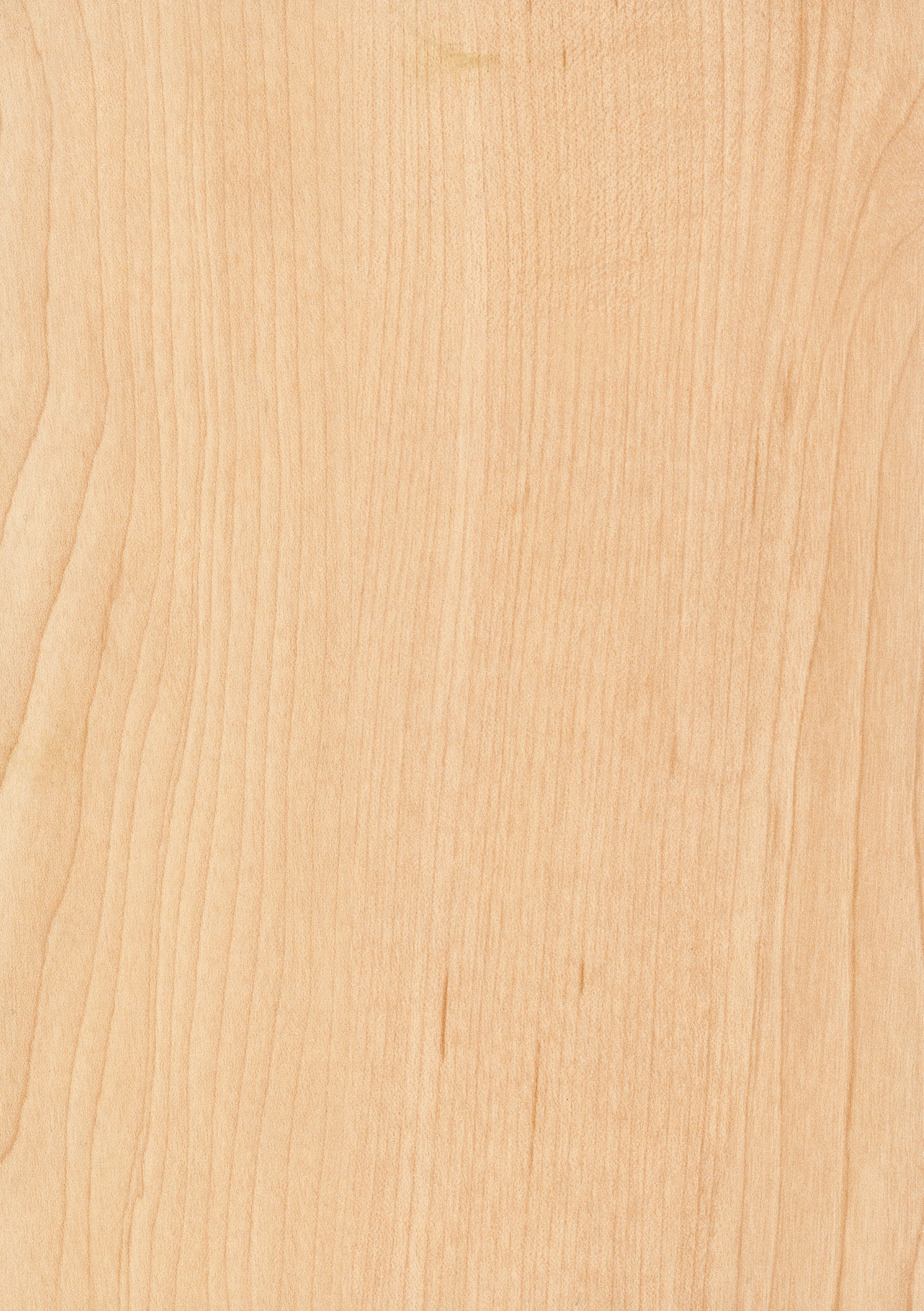 Doppelflügeltür CPL Ahorn