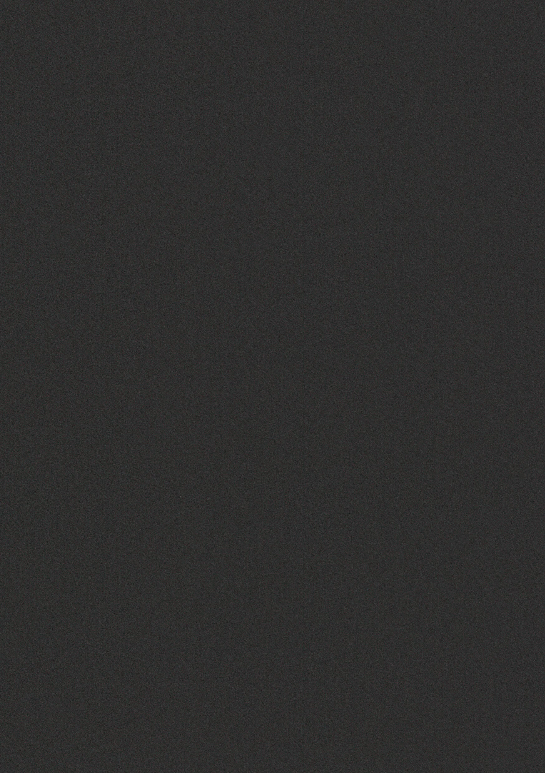 Tür mit Zarge Echtholz Asteiche geölt - Vision Anthrazit