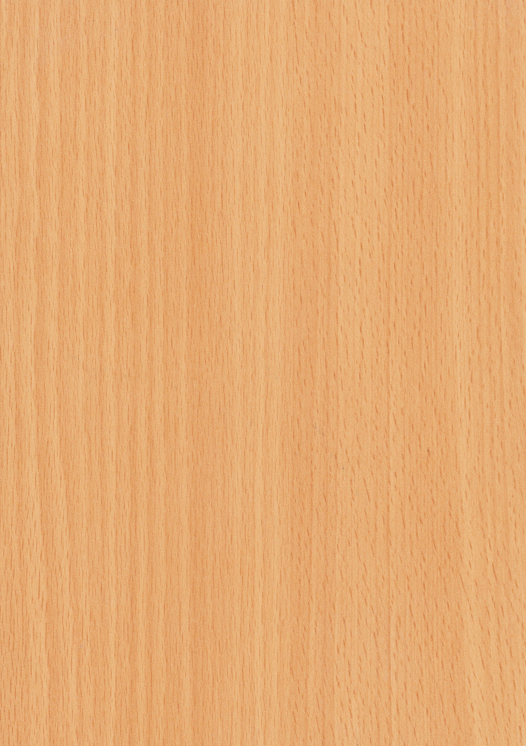 Doppelflügeltür CPL Buche