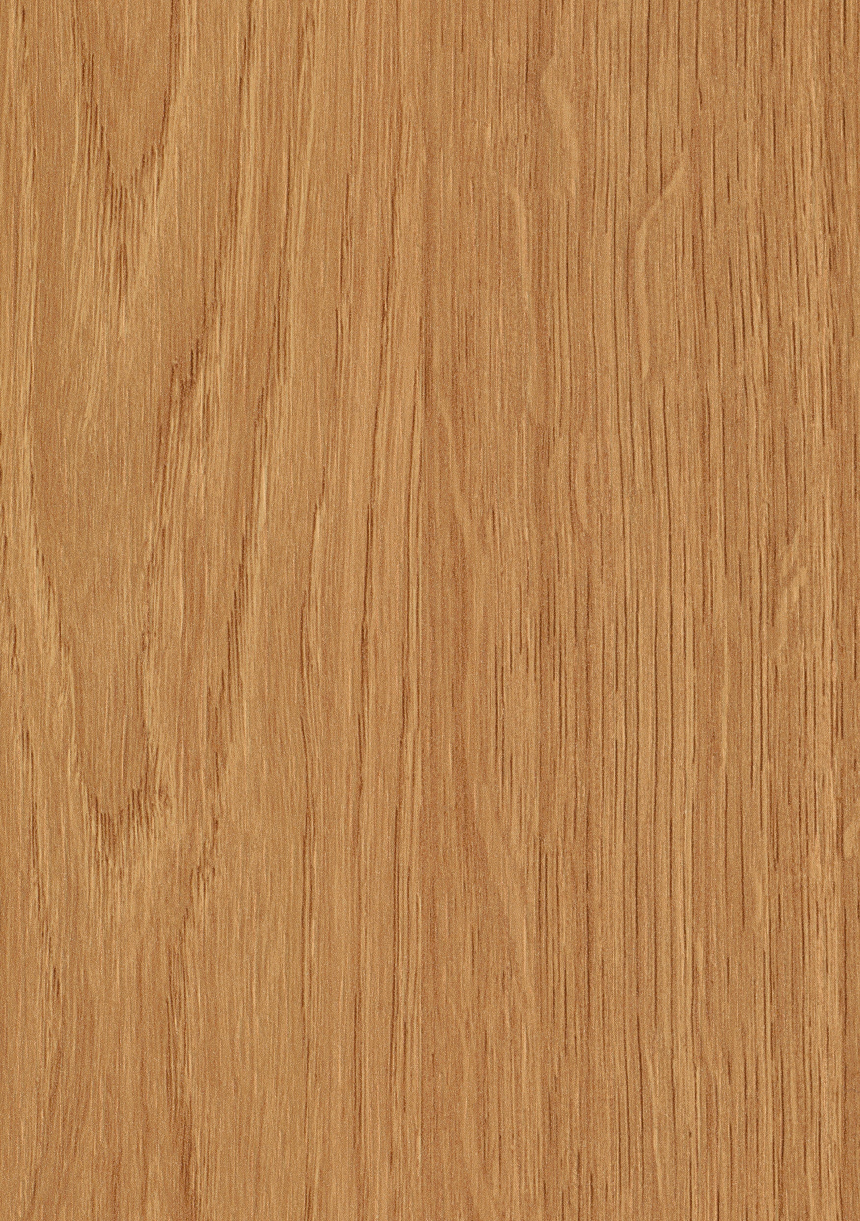 Doppelflügeltür CPL Eiche Natur