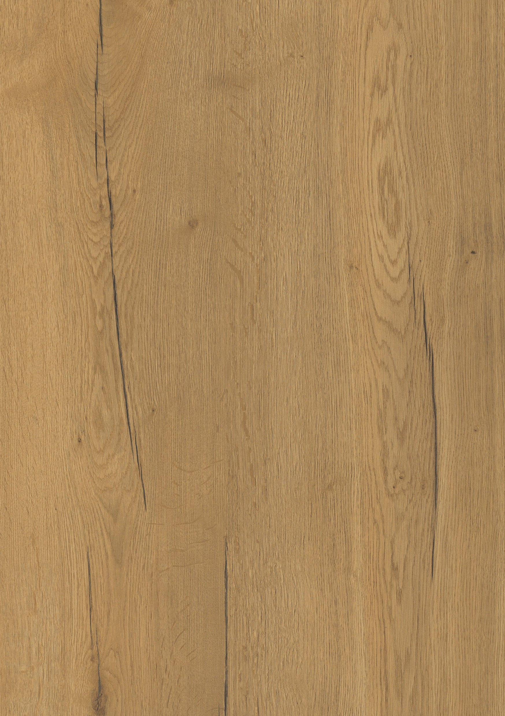 Doppelflügeltür CPL Vicco Eiche Honig