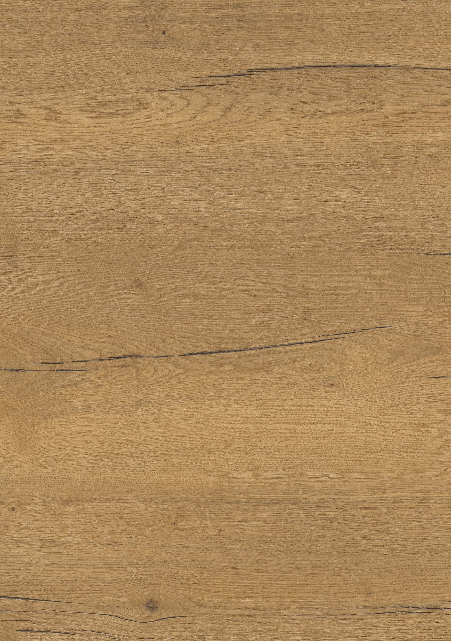 Doppelflügeltür CPL Vicco Eiche Honig Queroptik