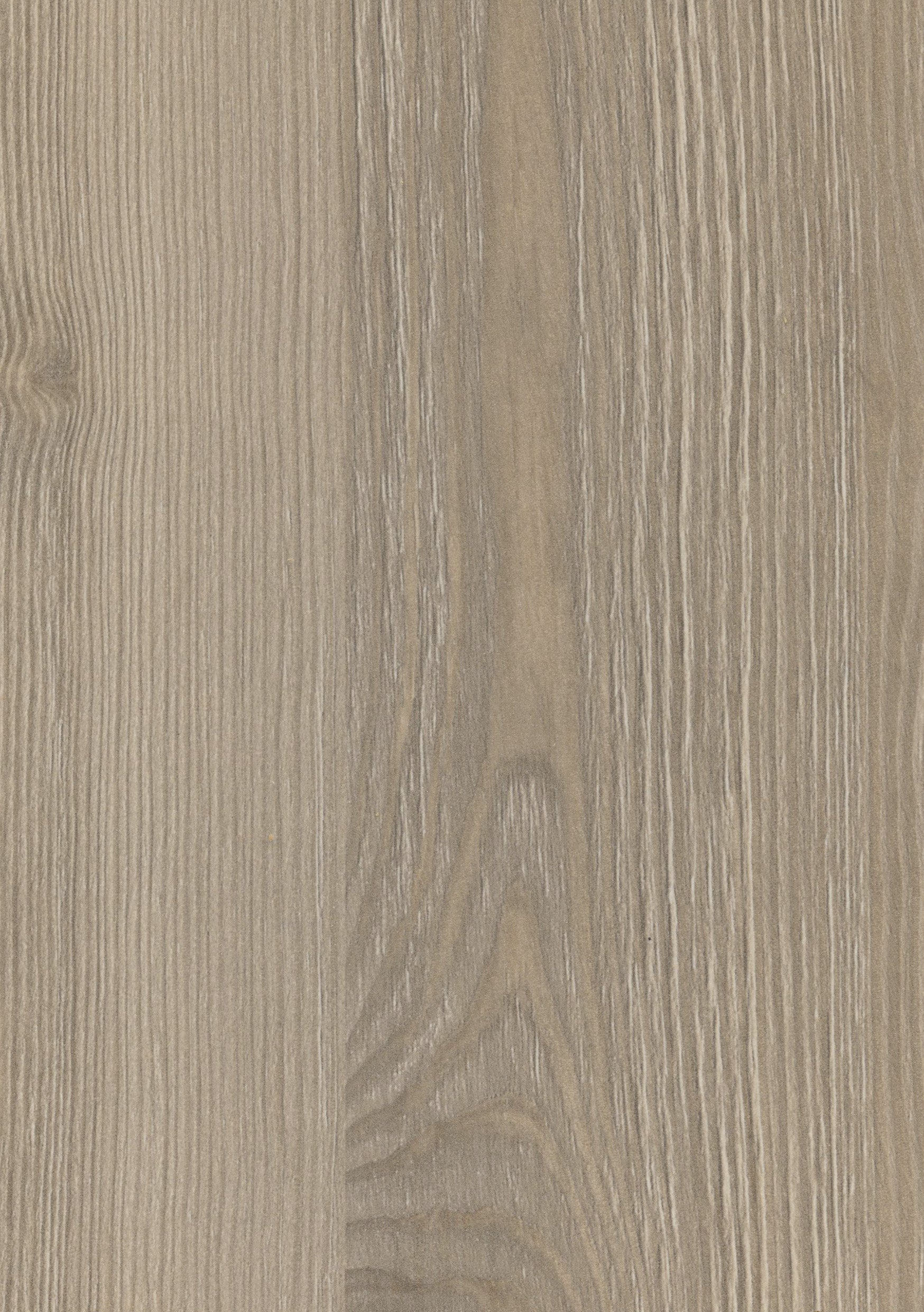 Doppelflügeltür CPL Pinie Kivik