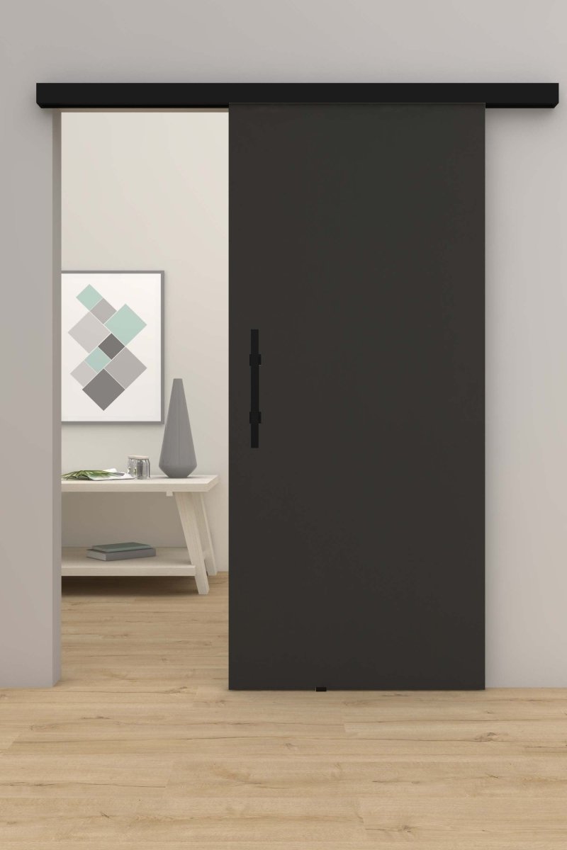Schiebetür mit Laufschiene CPL Anthrazitgrau RAL 7016 - Meine Tür