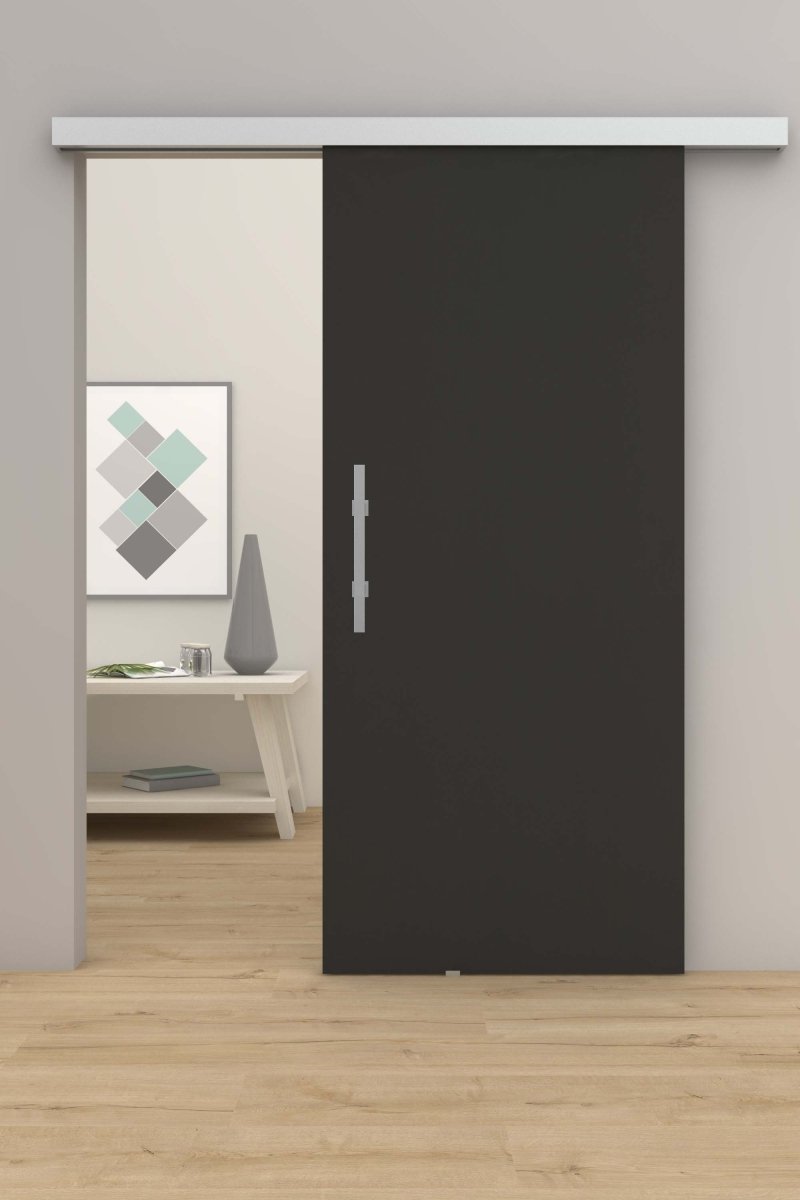 Schiebetür mit Laufschiene CPL Anthrazitgrau RAL 7016 - Meine Tür