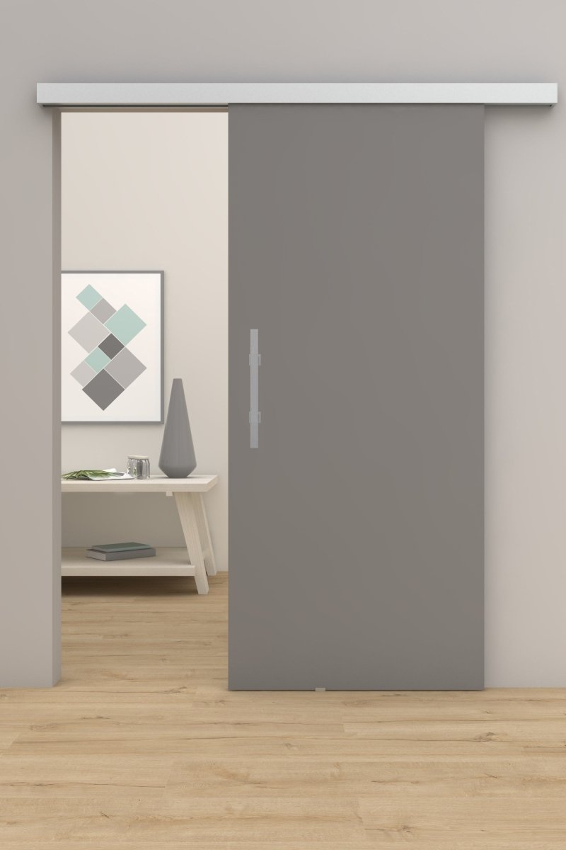 Schiebetür mit Laufschiene Grau lackiert RAL 7037 - Meine Tür