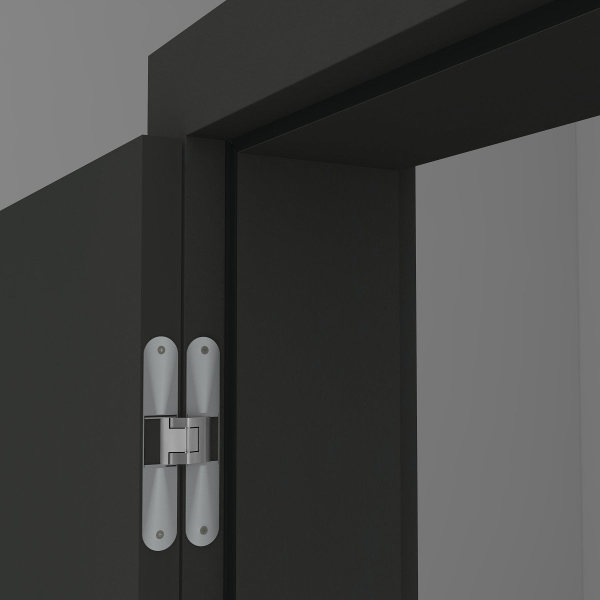 Stumpfeinschlagende Tür mit Zarge Anthrazitgrau RAL 7016 - Meine Tür