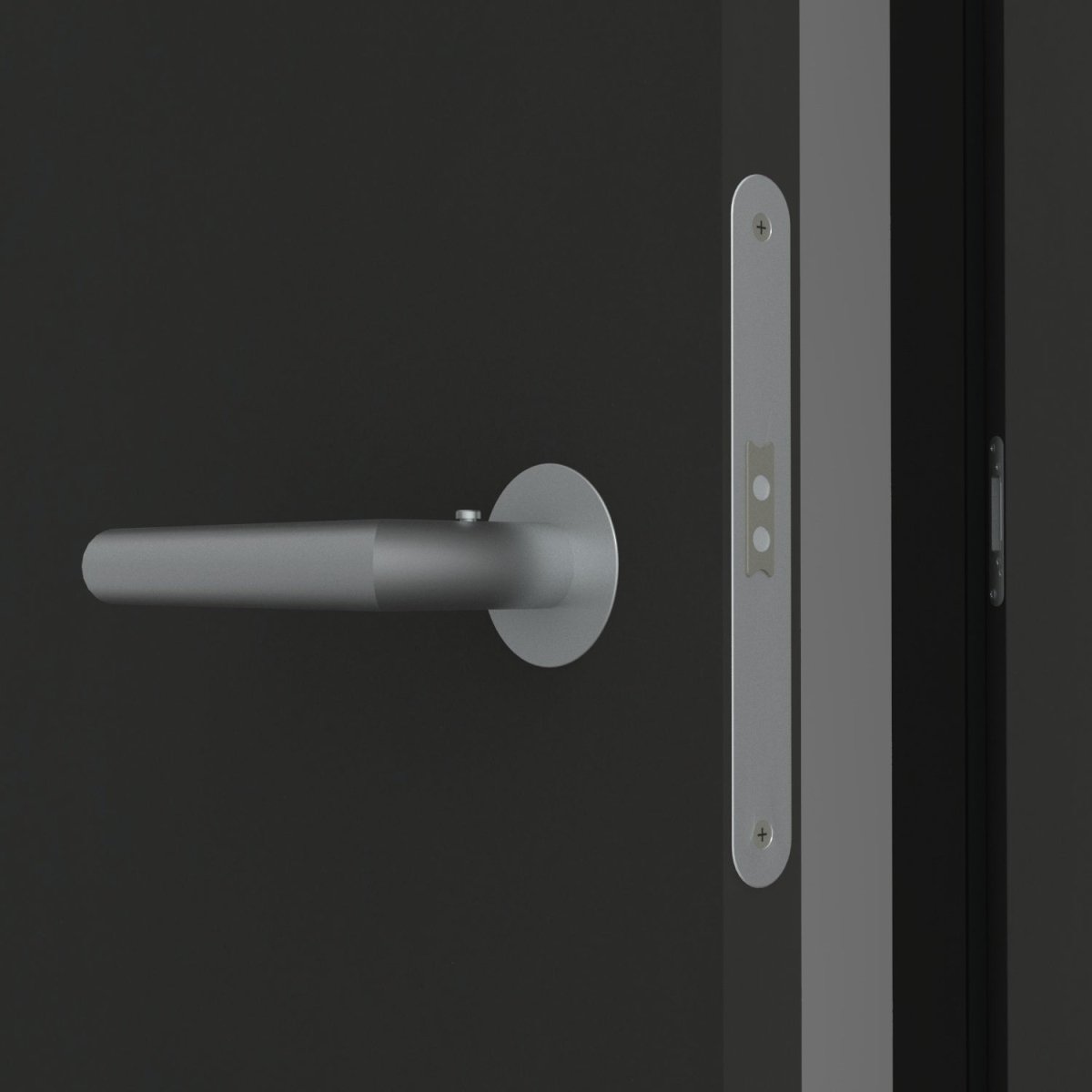 Stumpfeinschlagende Tür mit Zarge CPL Anthrazitgrau RAL 7016 | ohne Schlüssellochbohrung - Meine Tür