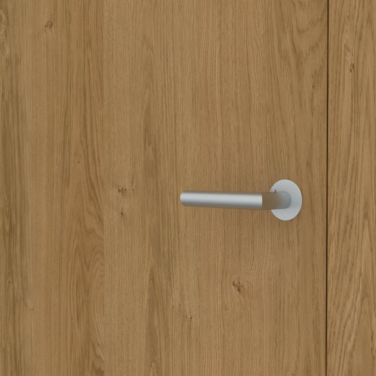 Stumpfeinschlagende Tür mit Zarge Echtholz Asteiche matt lackiert | ohne Schlüssellochbohrung - Meine Tür