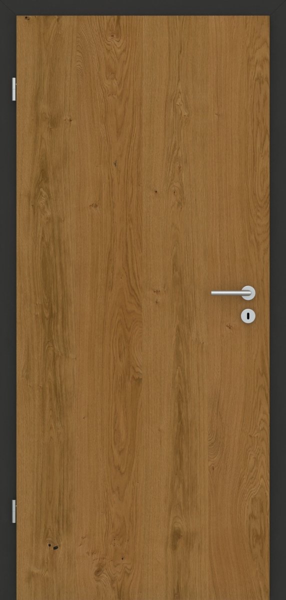 Tür mit Zarge Echtholz Asteiche geölt - Vision Anthrazit - Meine Tür
