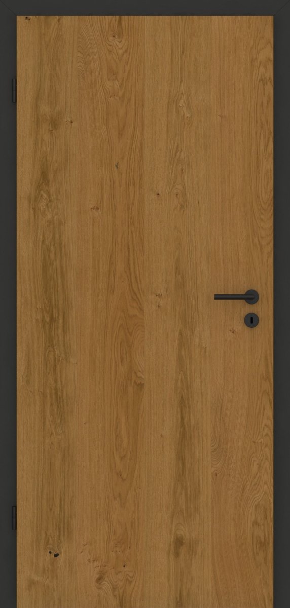 Tür mit Zarge Echtholz Asteiche geölt - Vision Anthrazit - Meine Tür