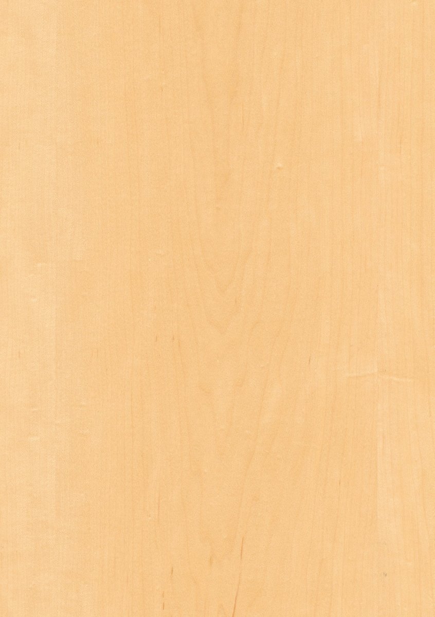 Mustertafel Echtholz Ahorn lackiert - Meine Tür