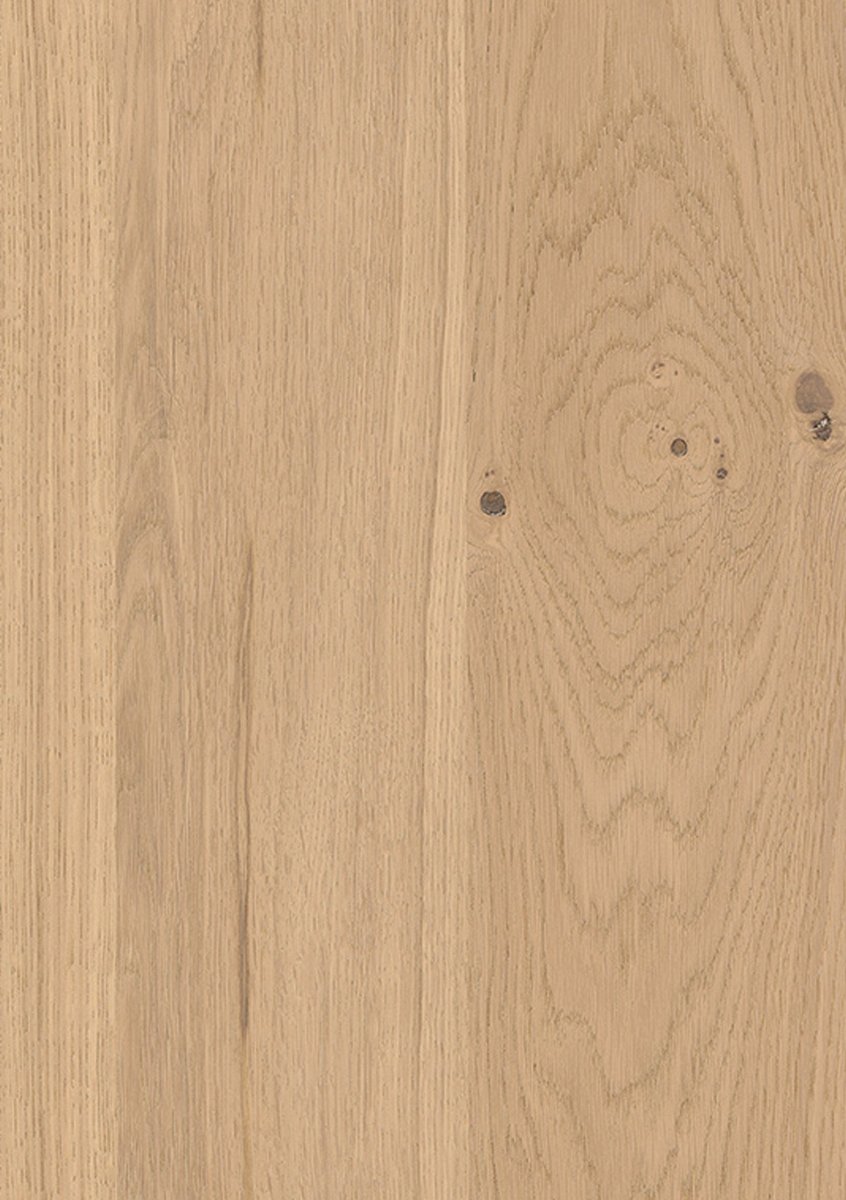 Mustertafel Echtholz Asteiche Cream matt lackiert - Meine Tür