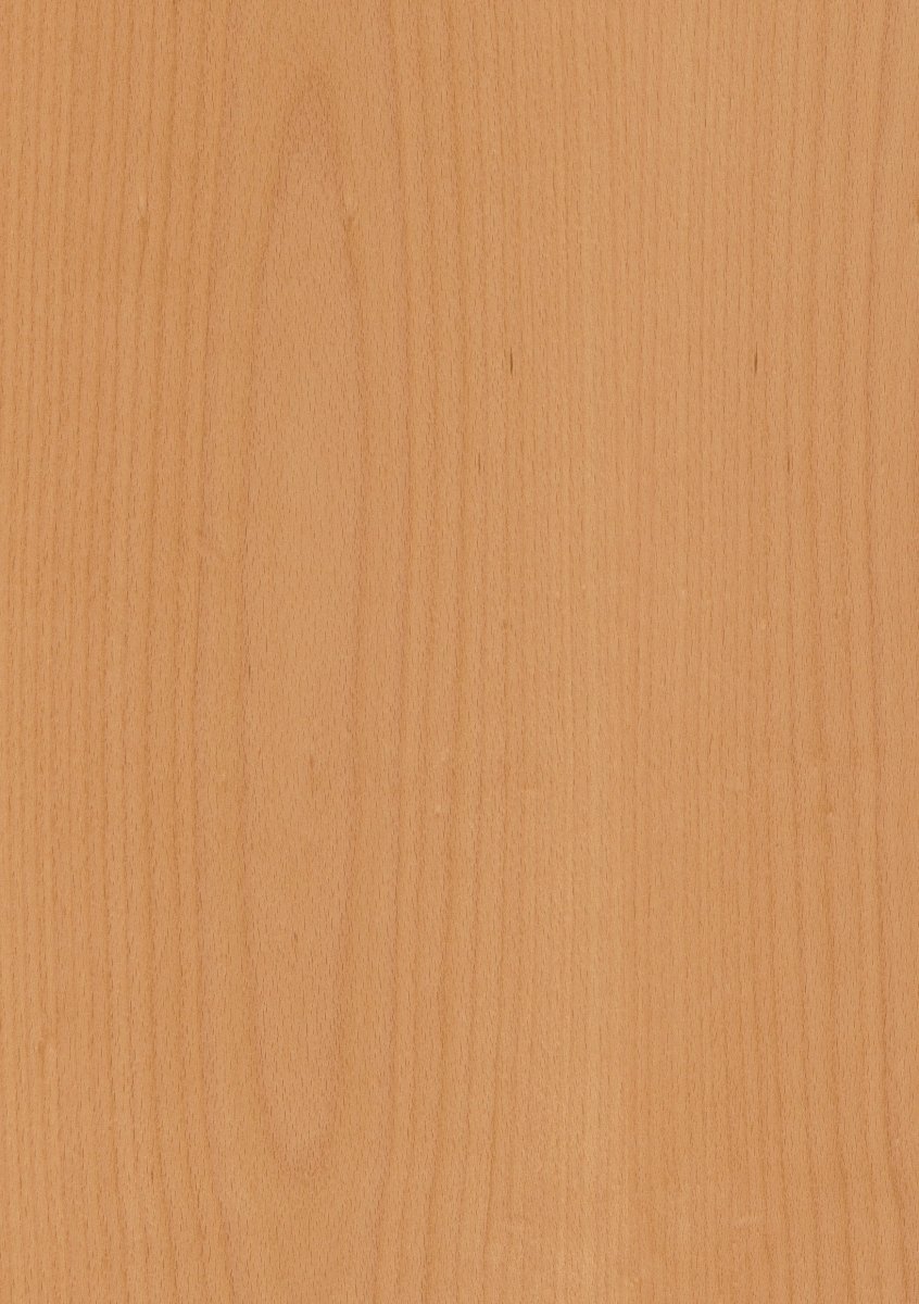 Mustertafel Echtholz Buche lackiert - Meine Tür