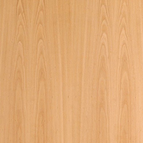 Mustertafel Echtholz Buche lackiert - Lebo - Meine Tür