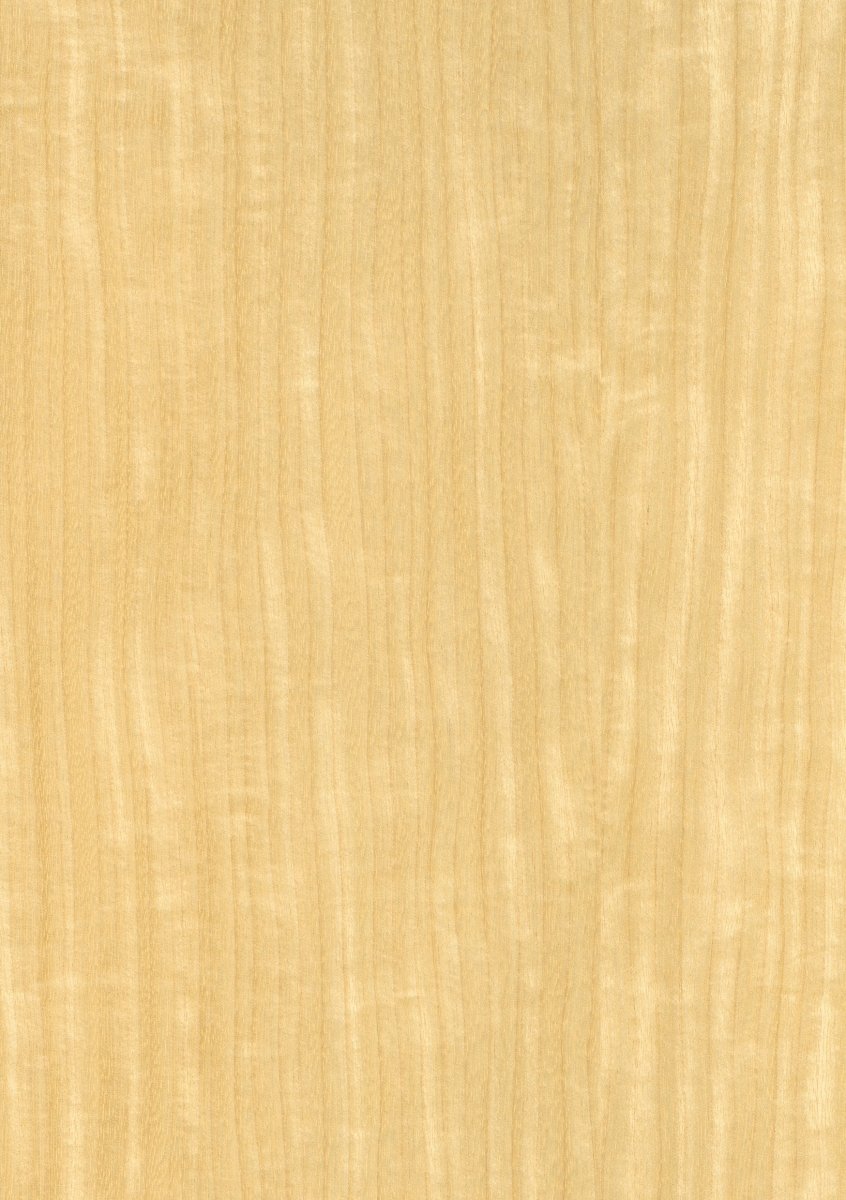 Mustertafel Echtholz Limba lackiert - Meine Tür