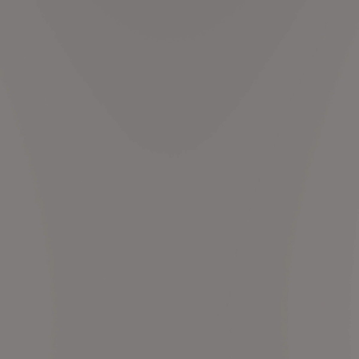 Mustertafel G-TEC Staubgrau Matt RAL 7037 - Garant - Meine Tür