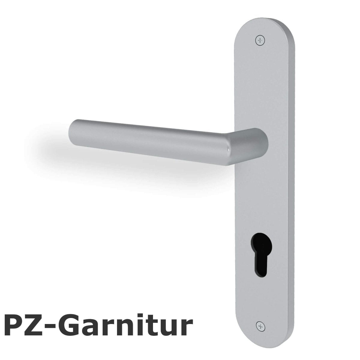 Türgriff Edelstahl matt poliert Swing Langschild rund - Meine Tür